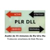 Variable PLR-DLL